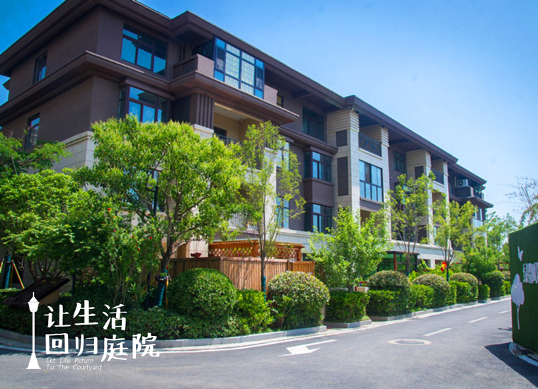 前后张望南阳50年：这样的庭院，，，，，，很难再有了！