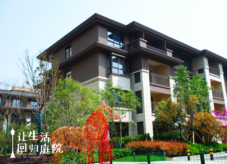 前后张望南阳50年：这样的庭院，，，，，，很难再有了！