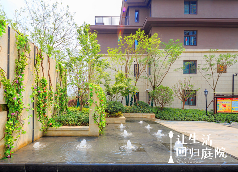 前后张望南阳50年：这样的庭院，，，，，，很难再有了！