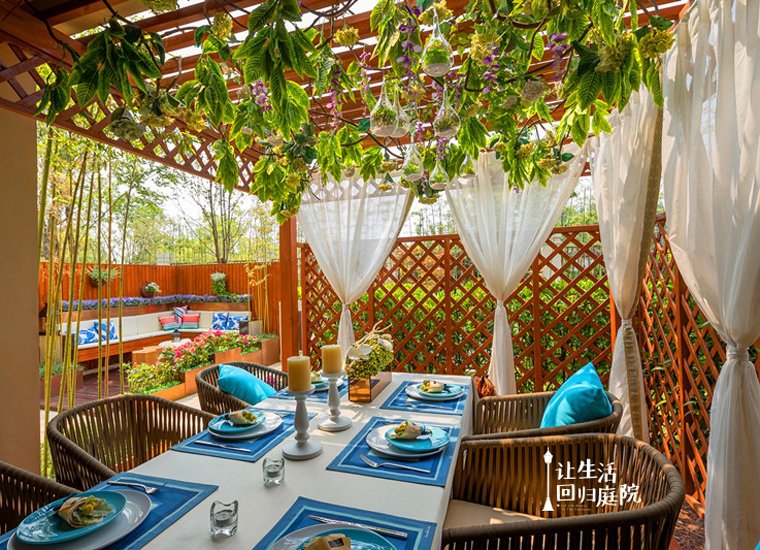 前后张望南阳50年：这样的庭院，，，，，，很难再有了！